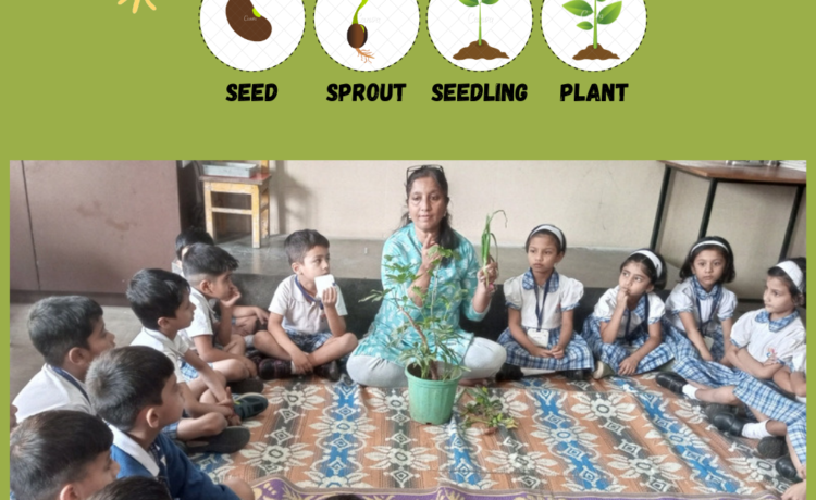 Life Cycle Of A Plant taught at UWCEC !