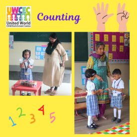 WhatsApp Image 2024-06-13 at 2.08.00 PM (1)